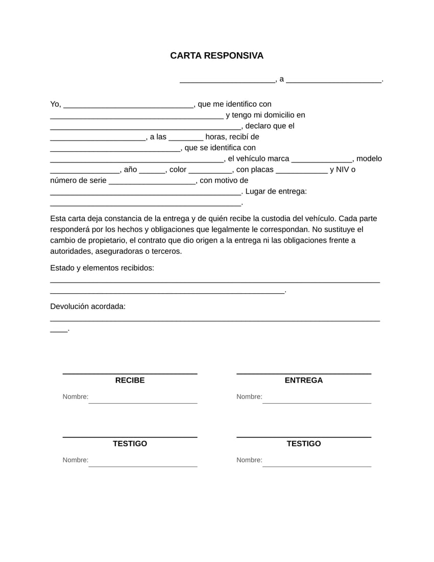 Vista previa del formato de carta responsiva en blanco, tamaño carta: lugar y fecha, declaración de quien recibe con sus datos y los del bien, el compromiso de responsabilidad y las firmas.