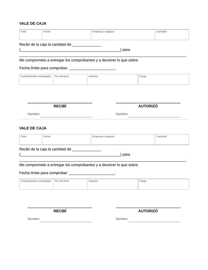 Vista previa del formato de vale de caja en blanco, tamaño carta: dos vales separados por una línea para recortar, cada uno con folio, fecha, empresa, cantidad, para qué es el dinero, fecha para comprobar y firmas de quien recibe y quien autoriza.